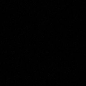 Meet your Posher, Delaney